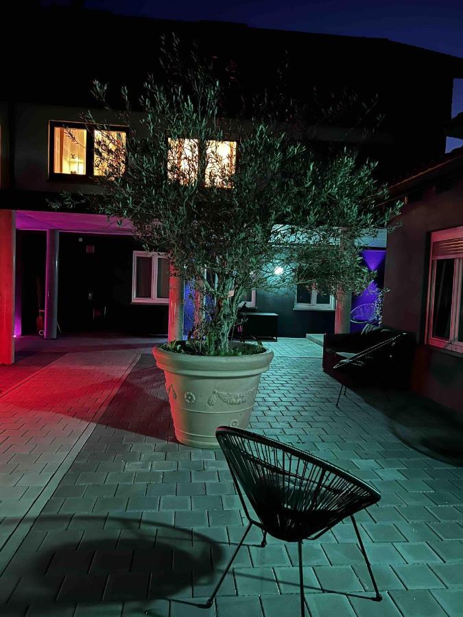 Bodenseesuite In Friedrichshafen